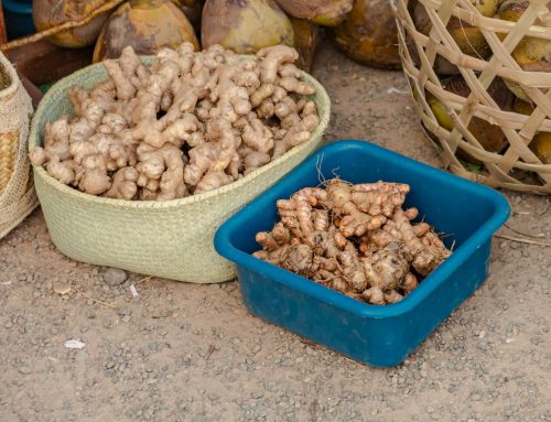 Support for the Ginger Sector: Ambatovy Helps Producers in Moramanga.