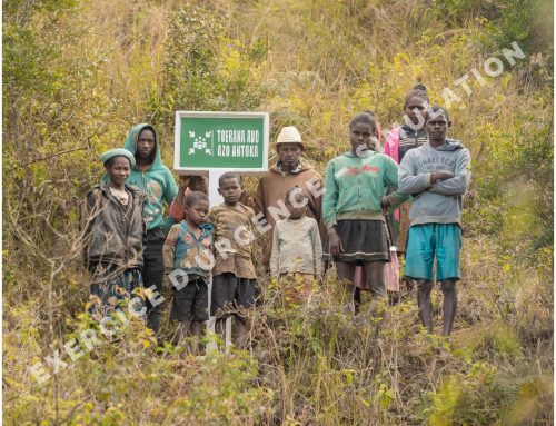 Emergency drill simulation exercice in Moramanga